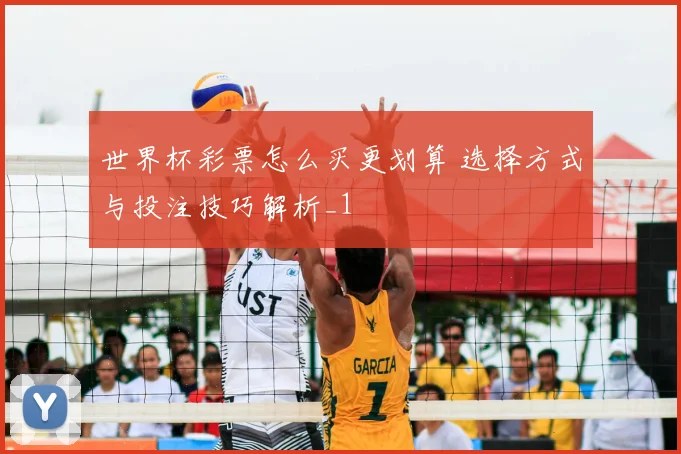 世界杯彩票怎么买更划算 选择方式与投注技巧解析_1