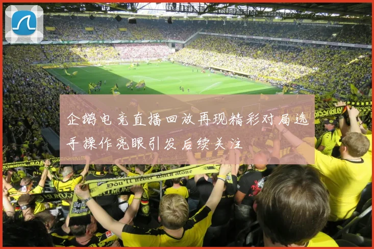 企鹅电竞直播回放再现精彩对局选手操作亮眼引发后续关注
