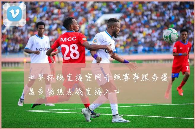 世界杯线直播官网升级赛事服务覆盖多场焦点战直播入口