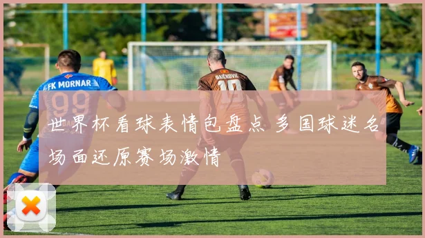 世界杯看球表情包盘点 多国球迷名场面还原赛场激情