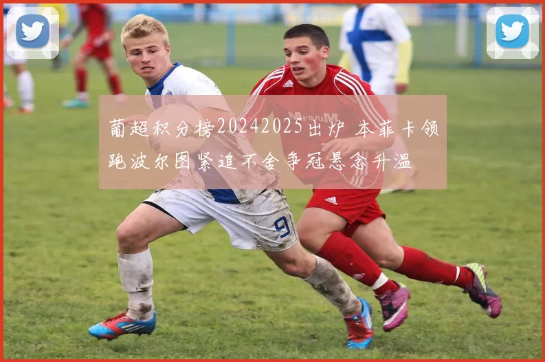 葡超积分榜20242025出炉 本菲卡领跑波尔图紧追不舍争冠悬念升温